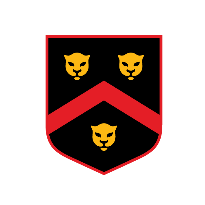 WIT logo